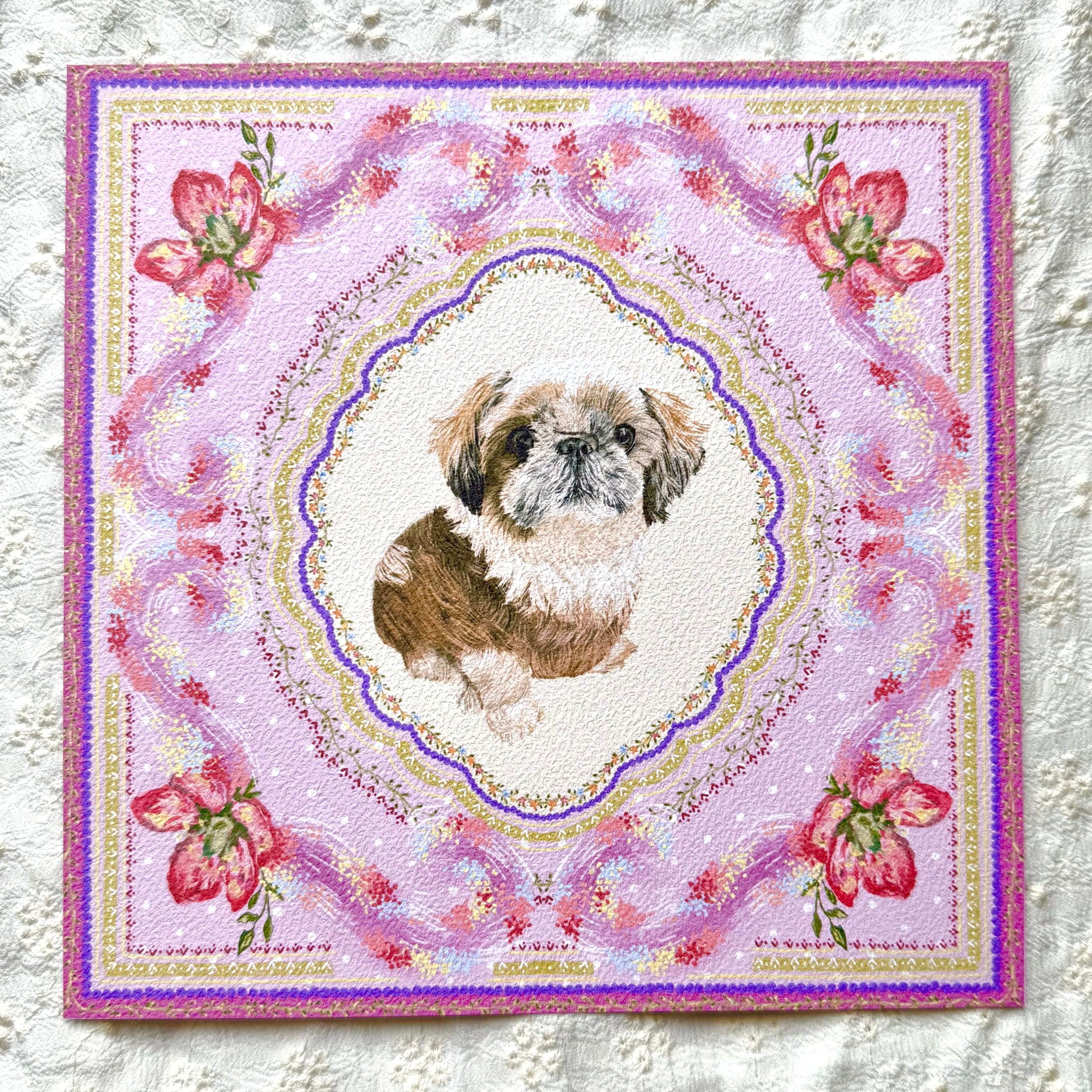 Gold & White Shih Tzu