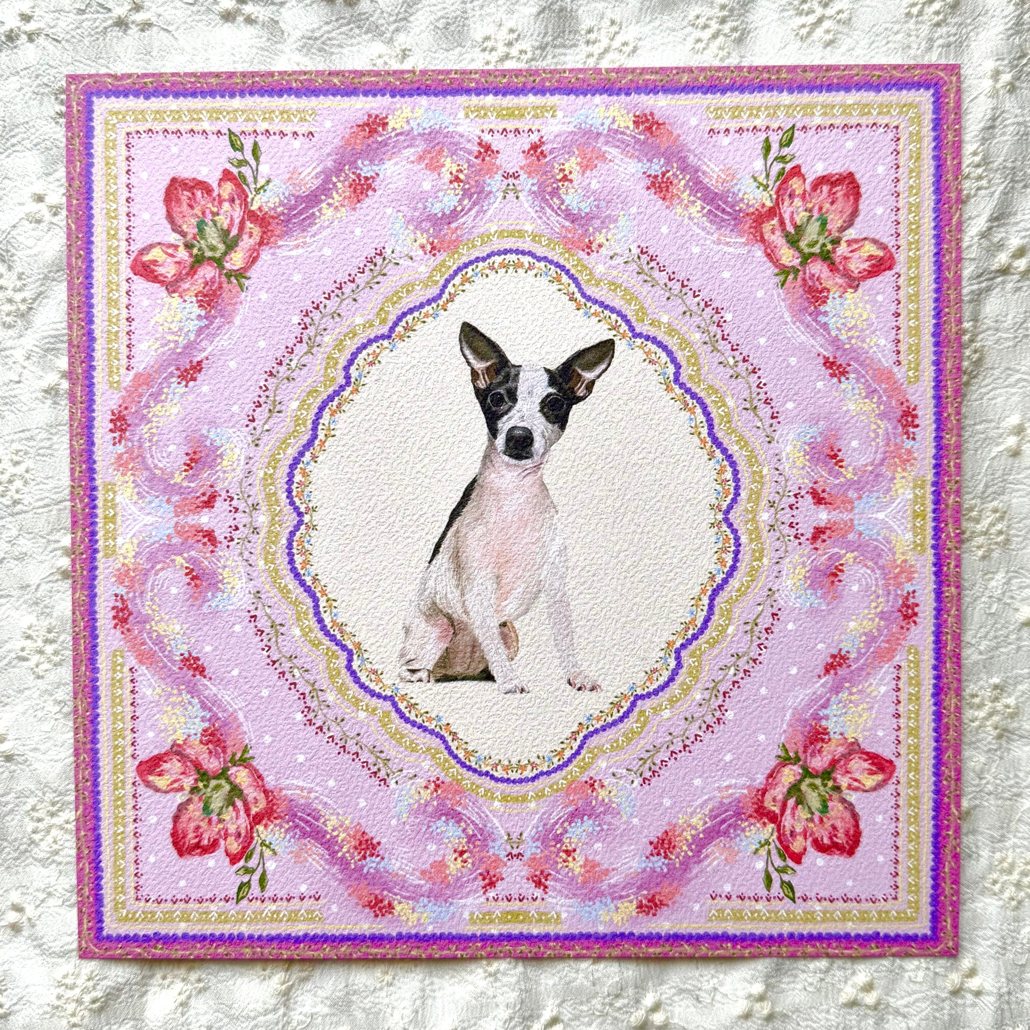 Black & White Smooth-Haired Chihuahua