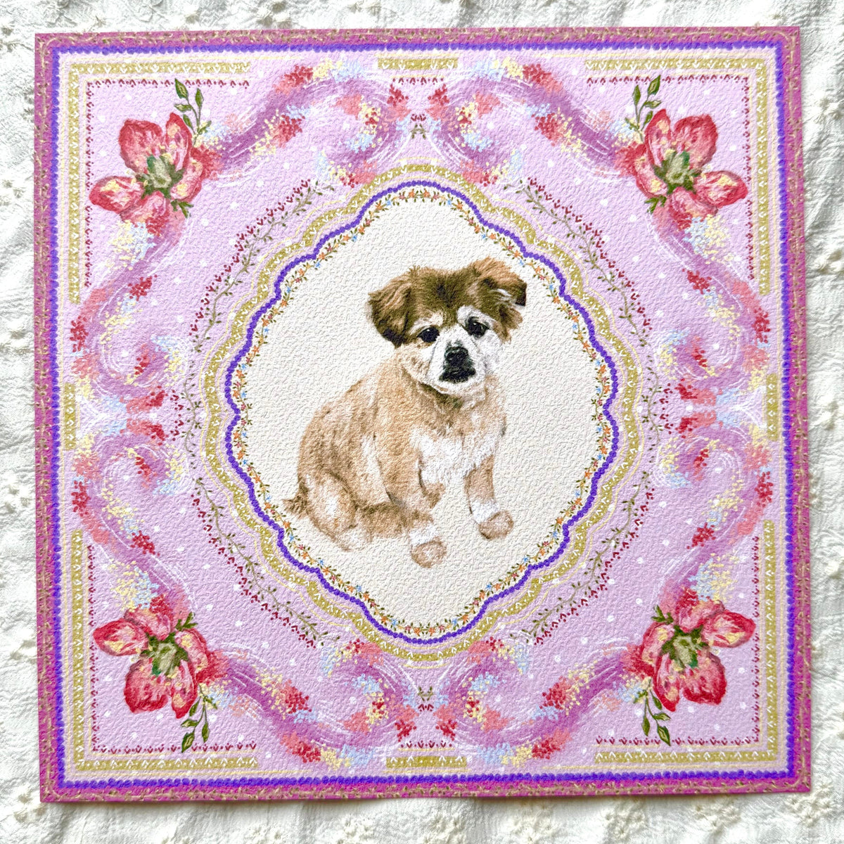 Cream & Tan Shiranian (Pomeranian x Shih Tzu)
