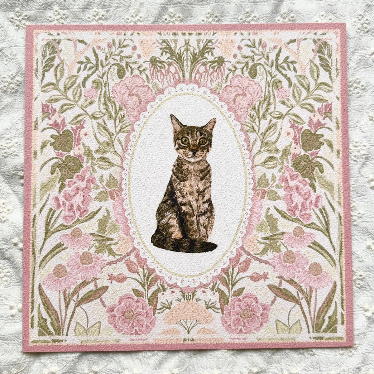 Brown Mackerel Domestic Shorthair Cat #3