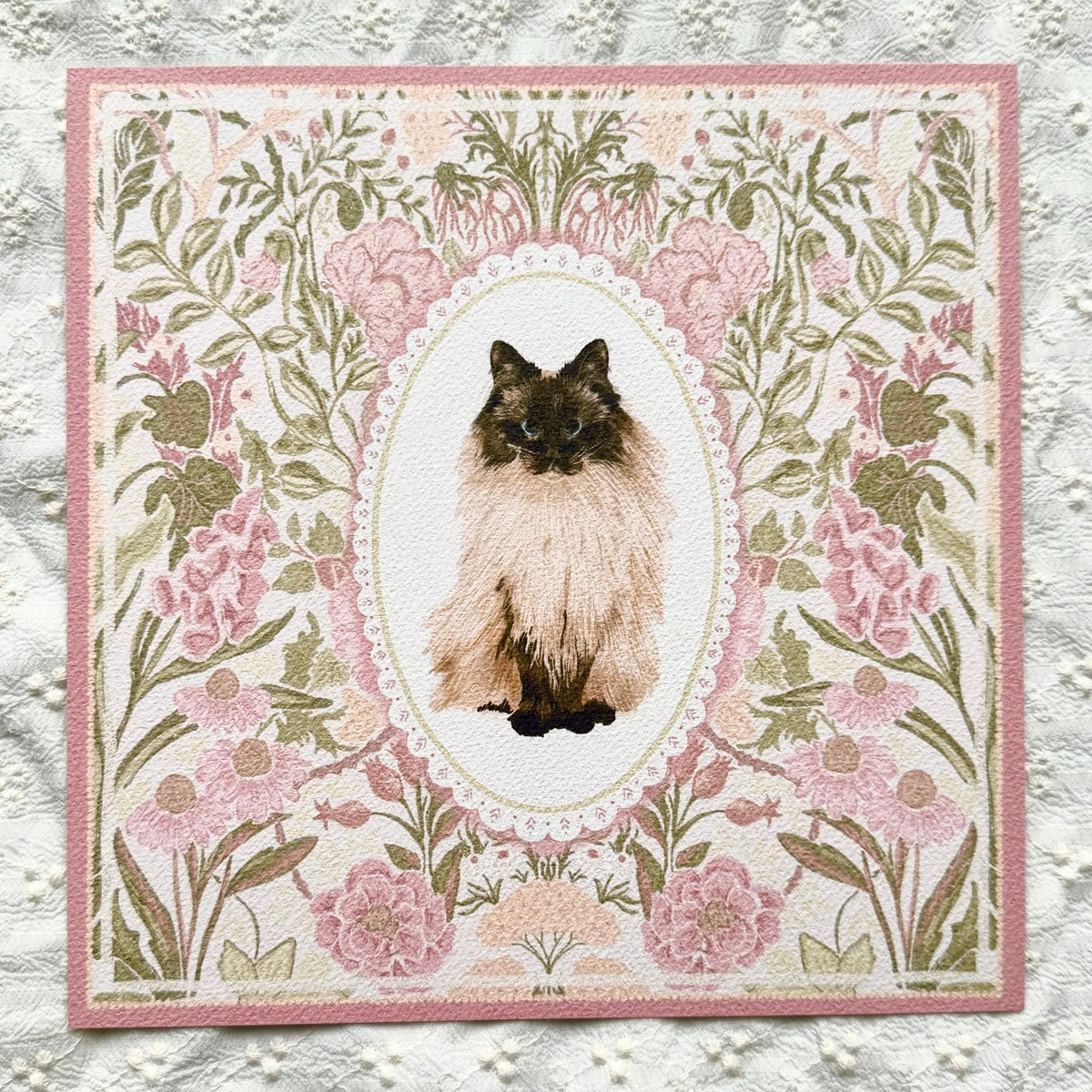 Seal Point Ragdoll Cat