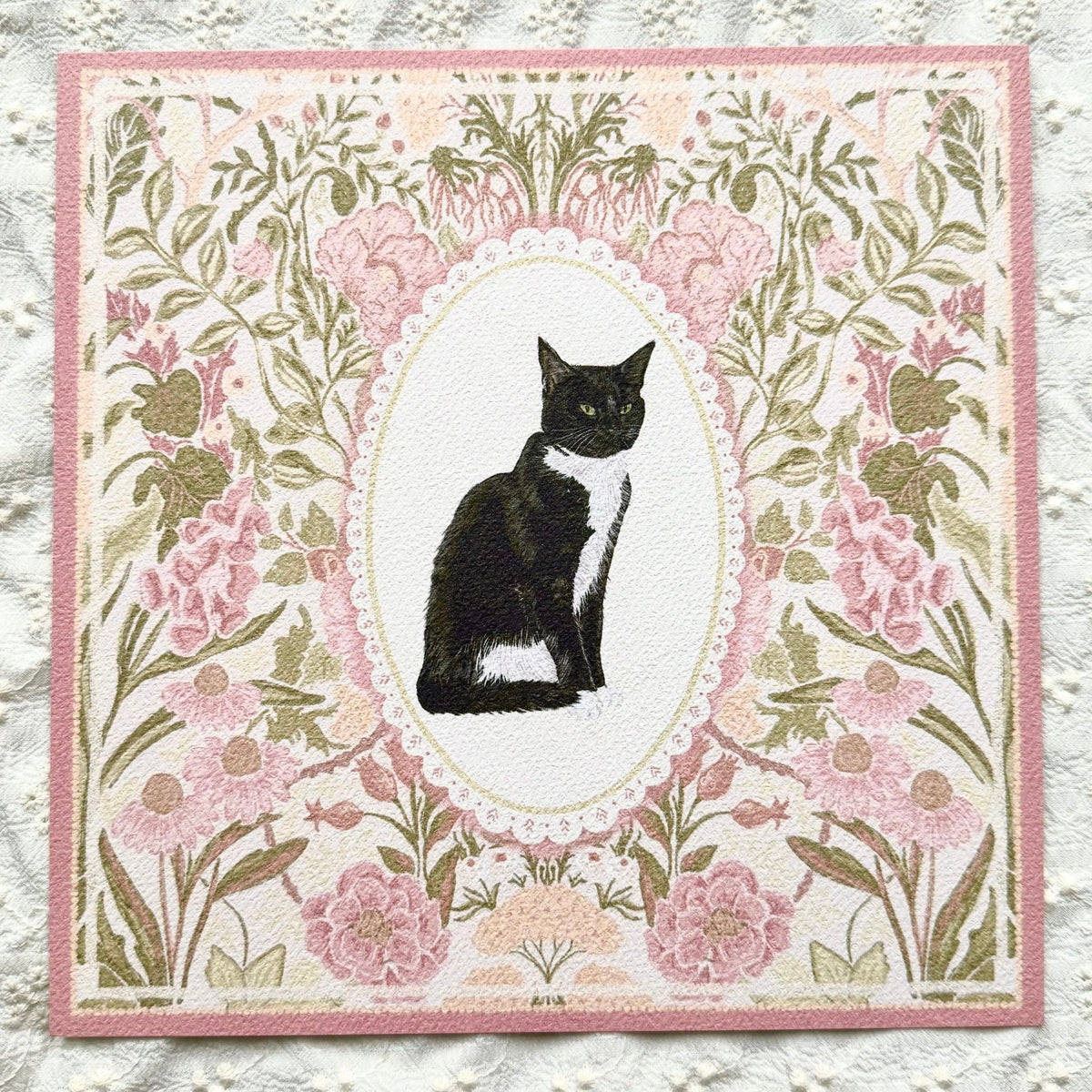 Black & White Tuxedo Domestic Shorthair Cat #2