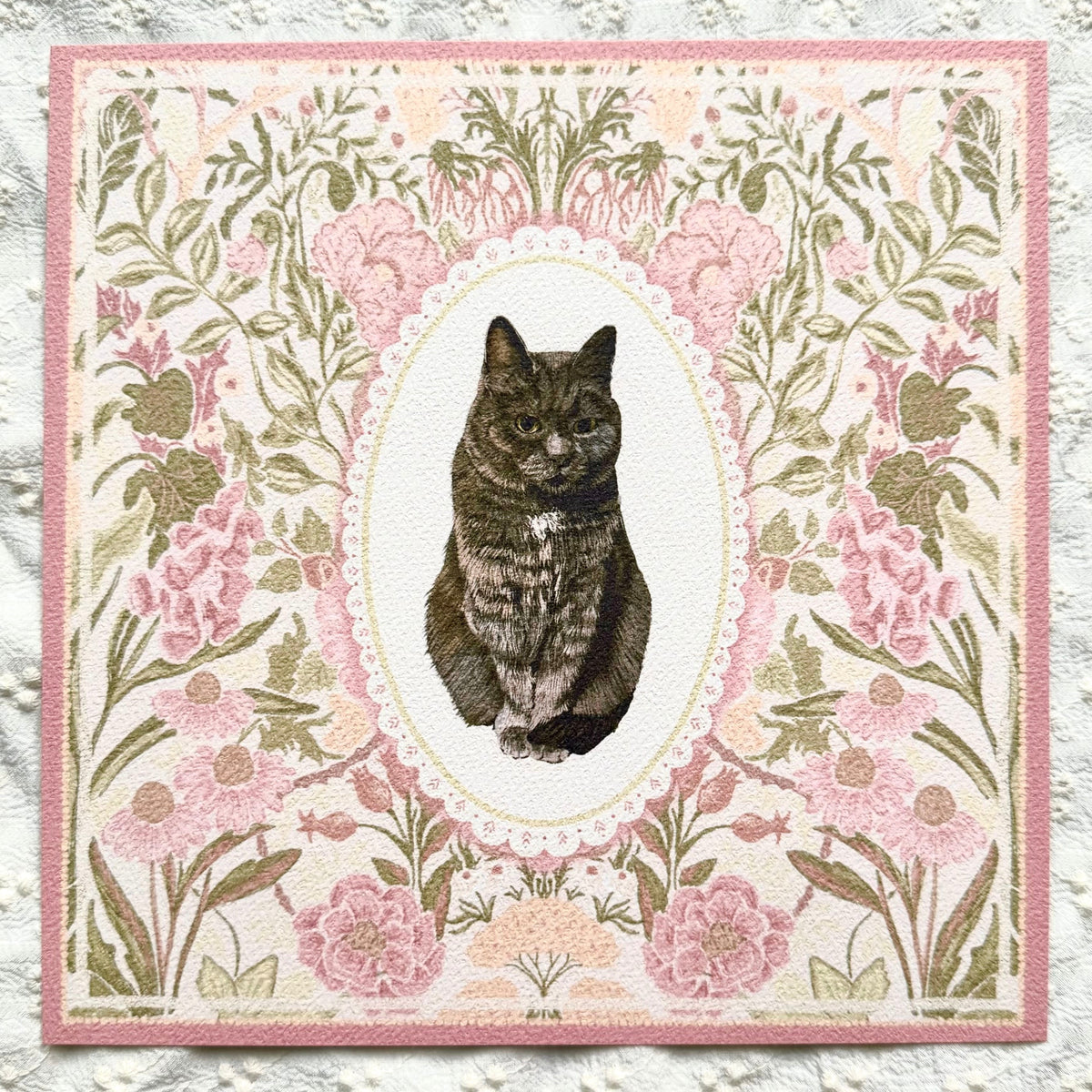 Blue Smoke Domestic Shorthair Cat