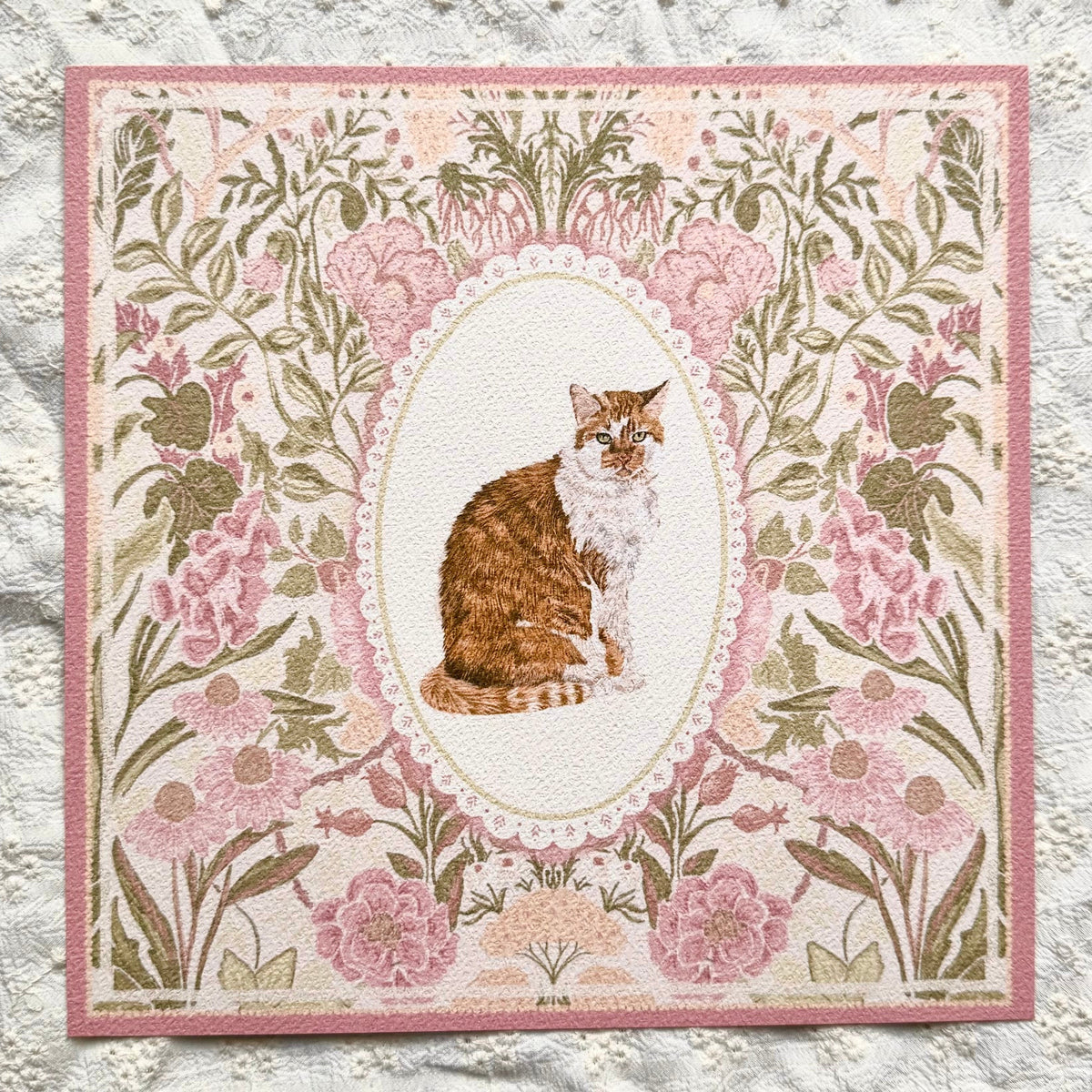 Ginger & White Tabby Domestic Long-haired Cat