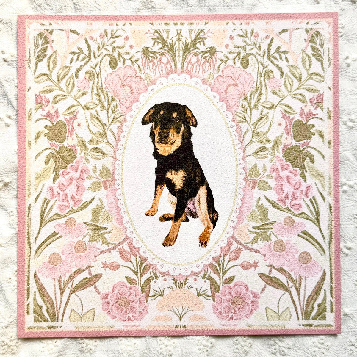 Black & Tan Rottweiler Mix