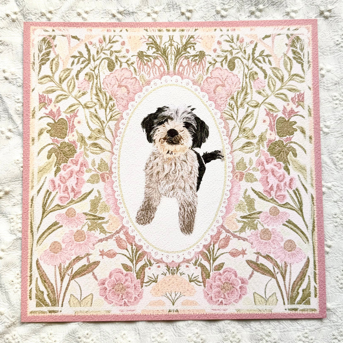 Black & White Shih-Poo (Shih Tzu x Poodle) #2