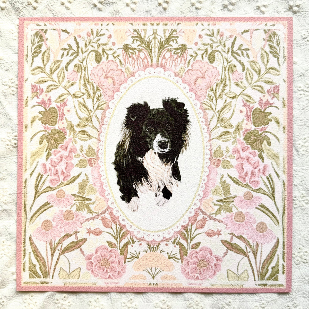 Black & White Border Collie