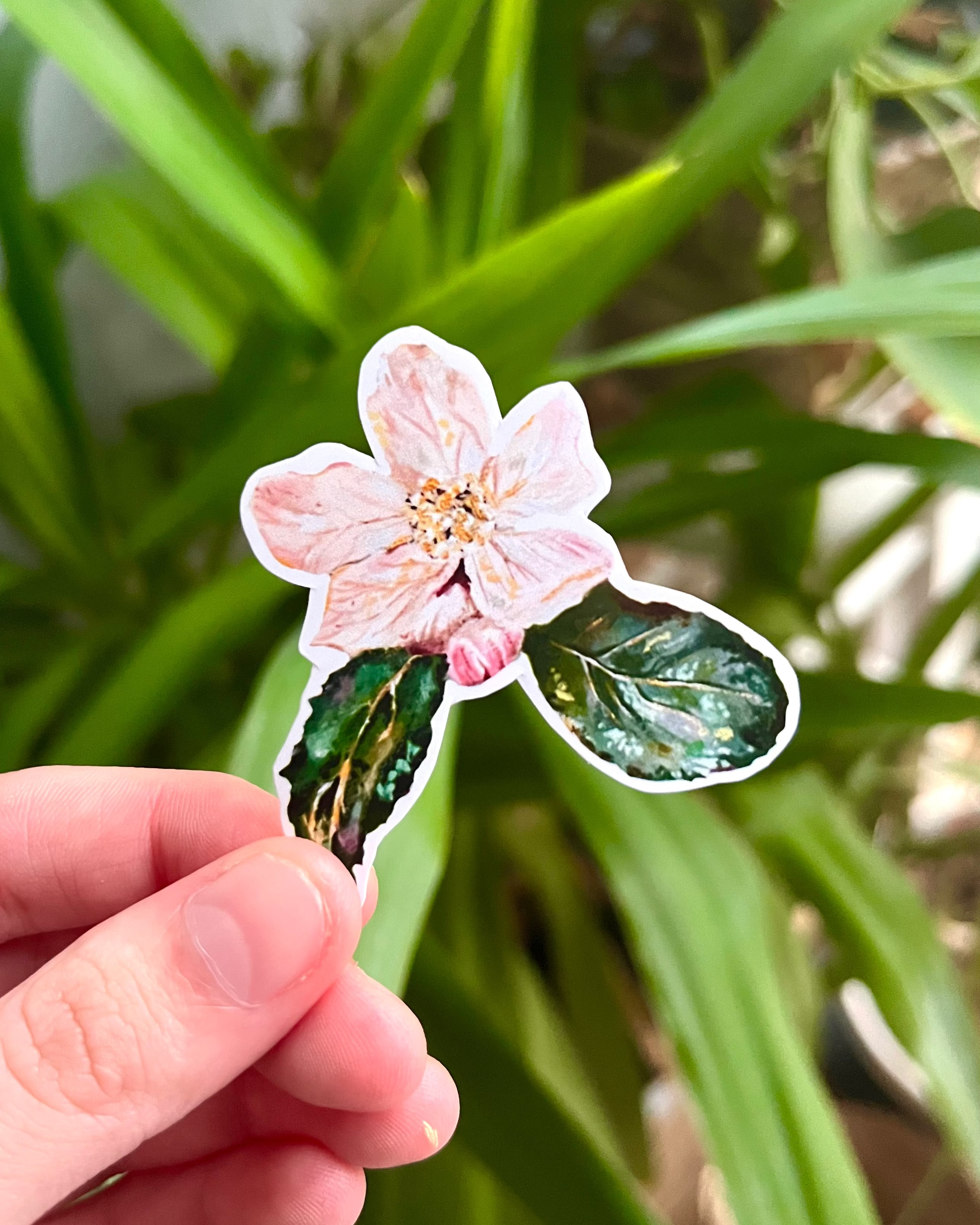 "Blush Bloom" Sticker